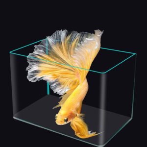30cm Curved Hot Bending Imported Fish Tank